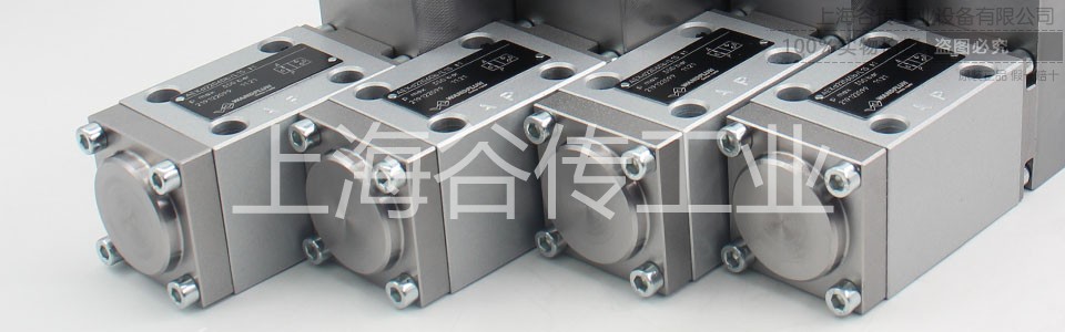 1679535290352868.jpg WANDFLUH 960x300 (1).jpg