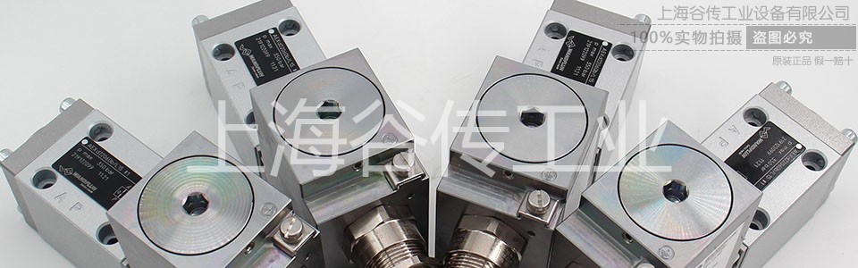 1679535312286788.jpg WANDFLUH 960x300 (7).jpg